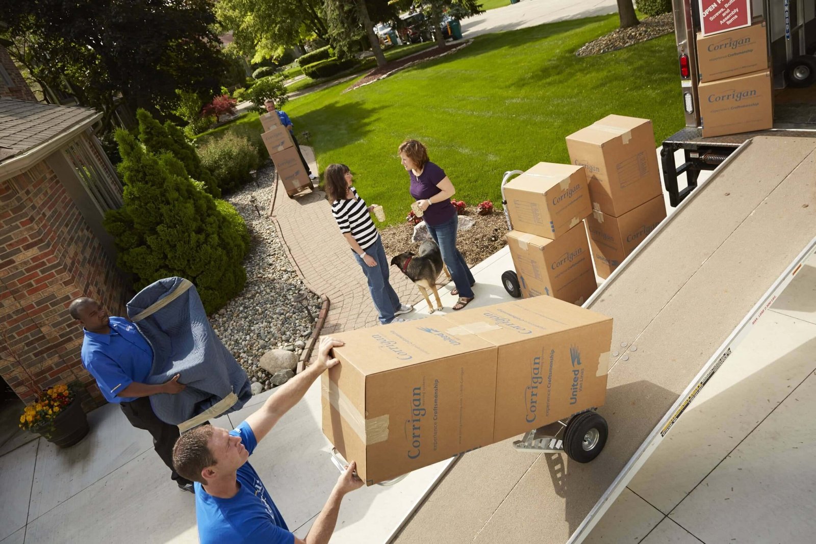 Specialized Moving With moving fellows